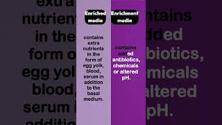 Enriched media vs enrichment media microbiology [upl. by Kroo]