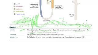 53 Mannitol  Osmotic Diuretic [upl. by Eneluj644]