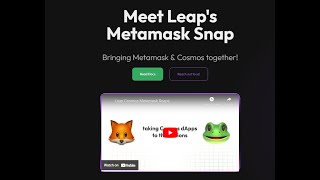 How to import Metamask into Leap or Keplr MM leap snaps [upl. by Gladi933]