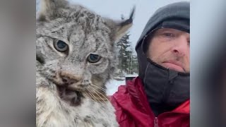 Farmer lectures a lynx after it attacked his chicken coop in British Columbia [upl. by Okiron]