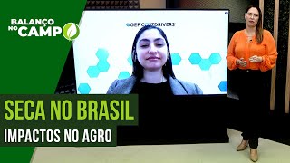 SECA PROLONGADA AMEAÇA PRODUÇÃO AGRÍCOLA [upl. by Isabelita]