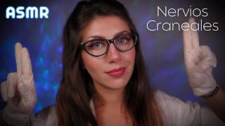 ASMR • Examen COMPLETO de NERVIOS CRANEALES  Roleplay Realista [upl. by Caassi]