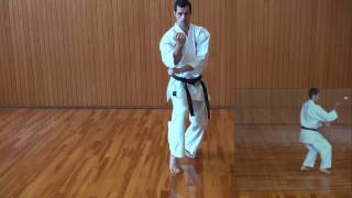 松村 抜砦 matsumura bassai  糸東流空手道 Shito ryu karate do [upl. by Hcir]