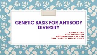 GENETIC BASIS OF ANTIBODY DIVERSITY PART 3 [upl. by Sophia]