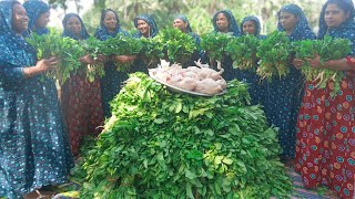 Radish Leaves amp Chicken Gravy Recipe  Mular Shak with Chicken Ghonto  Delicious Village Food [upl. by Obala281]