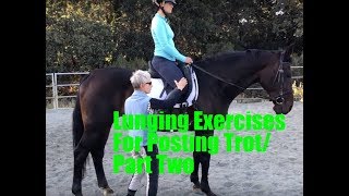 Rider Biomechanics Lunging Exercises for Posting TrotPart Two [upl. by Alvan61]