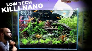 Nano Tank Tutorial LOW TECH Killifish Aquascape [upl. by Lahcsap]