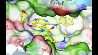 Ligand Docking in ICM Small Molecules Fragments Covalent and TemplateBased Methods [upl. by Isolda130]