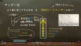 おうち生物 29  サンガー法 （高校生物） [upl. by Refinej776]