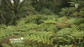 Visite du jardin de Monserrate  Silence ça pousse [upl. by Arratahs528]