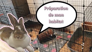 Jasmine Je prépare lhabitat pour accueillir un nouveau lapin [upl. by Devehcoy]