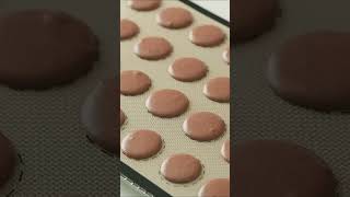 Chocolate Macarons Recipe [upl. by Ulund208]