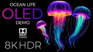 Ocean Life OLED Demo HDR 8K Ultra HD Dolby Vision™ 60fps [upl. by Odilia94]