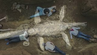 Fully intact fossil reveals prehistoric mystery [upl. by Ingraham280]