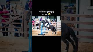 Ermmmm showjumping worldofshowjumping capcut [upl. by Rubma]