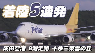 【4K】成田空港 十余三東雲の丘 34運用 夕暮れ時の着陸５連発 [upl. by Enilatan993]