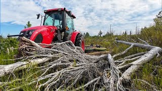 I BRUSH HOGGED an Overgrown Field for FREE It ends in a VERY EXPENSIVE REPAIR [upl. by Lizabeth991]