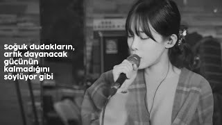 Heize Feat 10CM  Stranger Türkçe Çeviri [upl. by Einnos143]