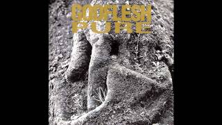 Godflesh  I Wasnt Born To Follow Official Audio [upl. by Morganstein627]