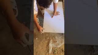 How To Cut Tiles Around tips shortvideo amazing construction [upl. by Fidellas274]