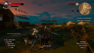 The Witcher 3 The Warble of a Smitten Knight Part 4 [upl. by Cornel752]