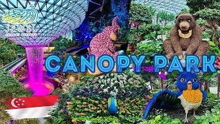 Whats inside the CANOPY PARK  THE JEWEL SINGAPORE [upl. by Yeslrahc]