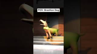 POV Normal Dog Vs Brazilian Dog [upl. by Anabal]