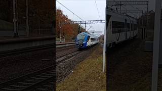 EN98003 POLREGIO Iława Miasto Wiek Poj10l2014r Rel IławaMalbork [upl. by Mota873]