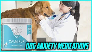 Top 5 Best Dog Anxiety Medications in 2022 [upl. by Aes]