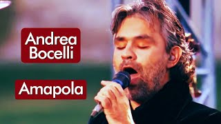 Andrea Bocelli  Amapola  HD  Música Com Tradução [upl. by Eirrahs]