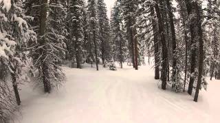 Enchanted Forest to Marmot Trail  Telluride 2013 [upl. by Male]