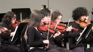 String Orchestra Edward R Murrow High School [upl. by Eioj]