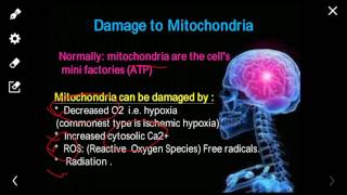 Pathology lecture 4  Mechanism of cell injury [upl. by Maia604]