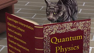 Quantum Physics – list of Philosophical Interpretations [upl. by Delanie]