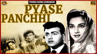 Ameeta Mehmood  Pyase Panchhi 1961 Movie Video Songs Jukebox  HD Hindi Old Bollywood Songs [upl. by Shimkus]