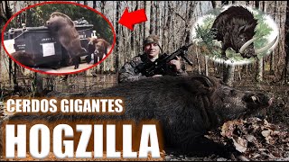 Los Hogzillas Cerdos Salvajes Gigantes  ¿Mutantes o Críptidos  Criptozoología  Riggs [upl. by Ibbor264]