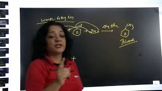 Haloalkanes and Haloarenes one shot  12th  IIT JEE NEET [upl. by Yelnikcm]