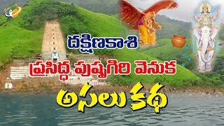 Dakshinakasi Pushpagiri Temple Real Story  Andhra Pradesh  Kadapa District  Planet Leaf With CC [upl. by Aicilas]