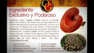 Presentacion Organo Gold 2012 [upl. by Matthaus]