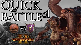 Greenskin vs Dark Elves  Quick Battle 1 [upl. by Dorotea6]