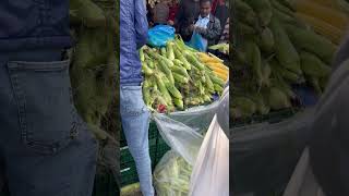 BazaarBeverwijk Saturday market [upl. by Edylc]