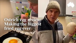 How to cook an Ostrich egg Taste testing the ultimate omelette [upl. by Meirrak906]