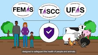 How Imported Crops Are Tested and Assured for UK Food and Feed Markets [upl. by Eenej666]