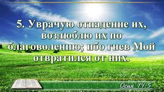 ВидеоБиблия Книга пророка Осии без музыки глава 14 Соколов [upl. by Chauncey389]