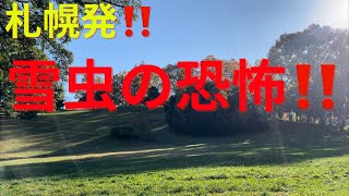 札幌発❗️雪虫の恐怖‼️ [upl. by Aerehs]