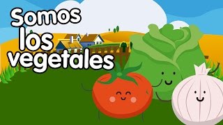 Canción de los vegetales  Canciones Infantiles  Songs for Kids in spanish [upl. by Edalb]