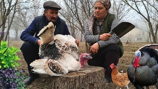 Hinduşka Plovu Outdoor Cooking Cooking on Nature [upl. by Hsetim]