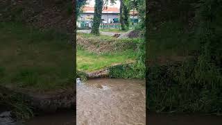 Hochwasser in Thüringen thüringen natur fypage naturwunder Hochwasser fyp [upl. by Charlot]