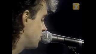 Soda Stereo Festival de Viña del Mar 1987 Segunda Noche [upl. by Ydnih]