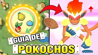 ✨Cómo Hacer el POKOCHO PERFECTO Para Concurso  Pokémon Diamante Brillante Perla Reluciente [upl. by Esalb700]